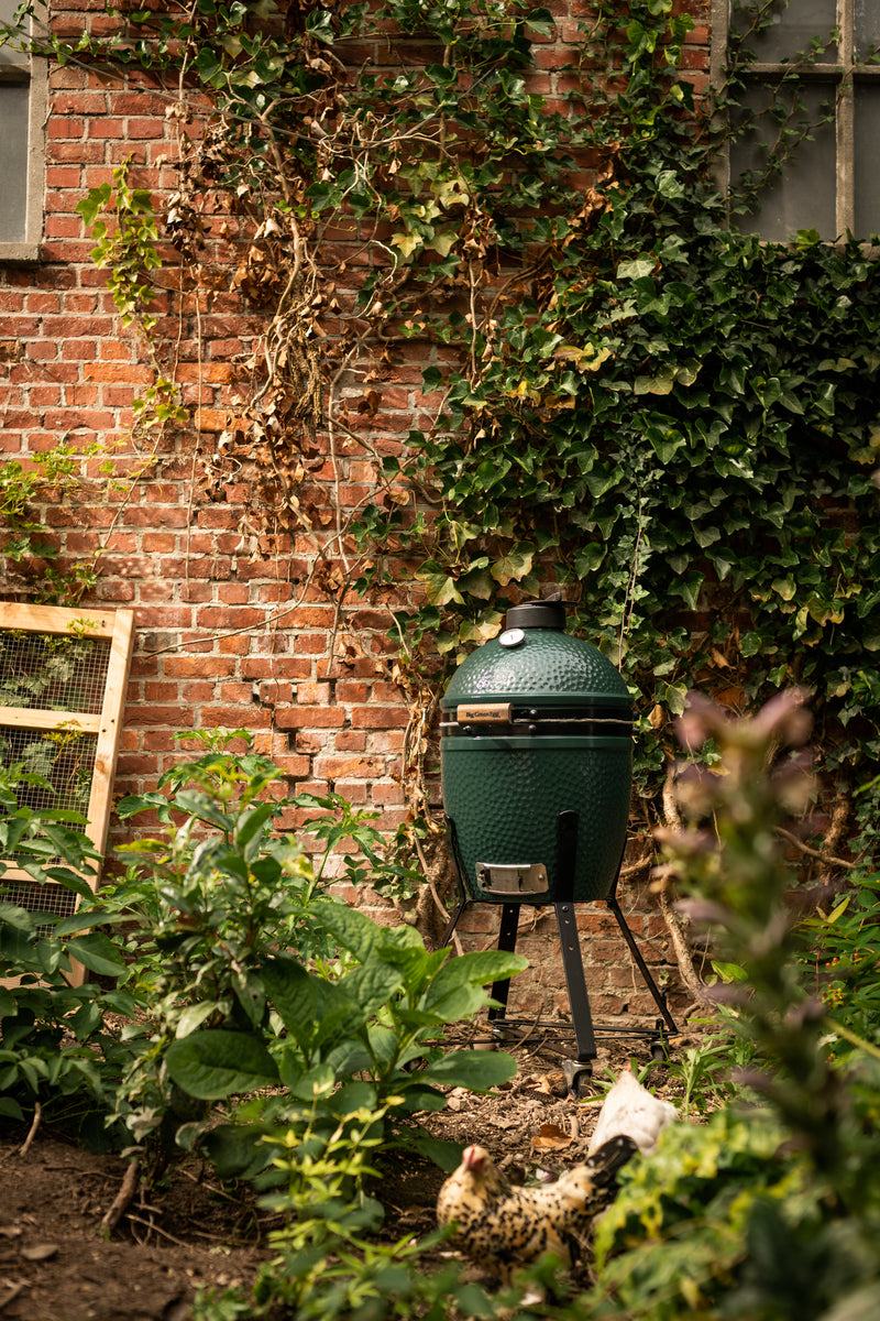 Big Green Egg Small